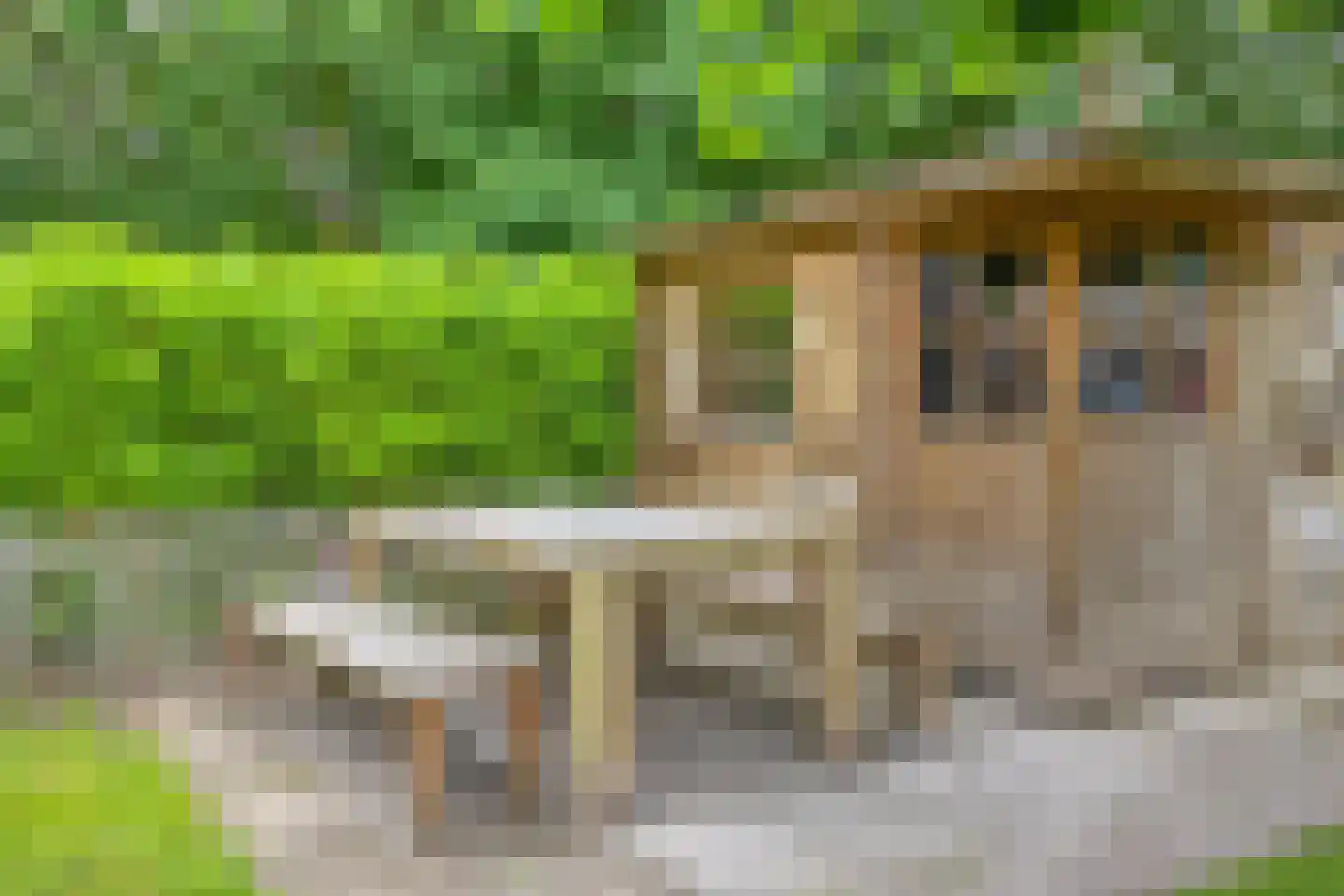 Lage Veld 42 Aalten thumbnail 51