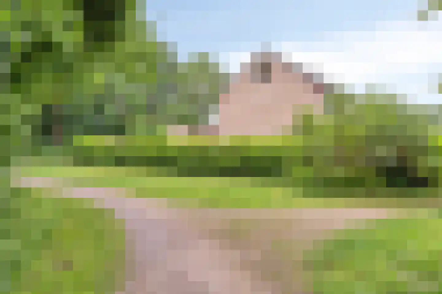 Lage Veld 42 Aalten thumbnail 53