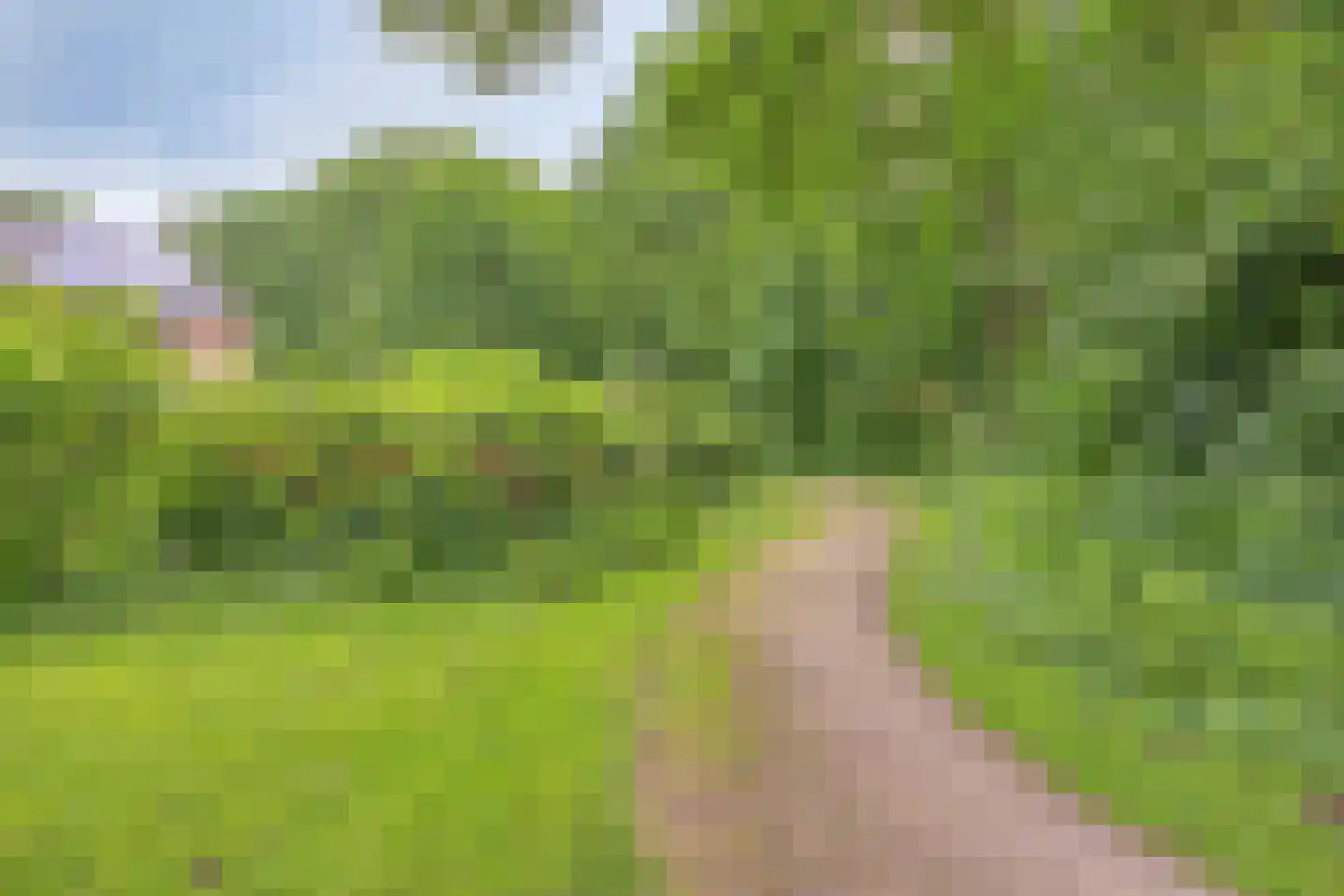 Lage Veld 42 Aalten thumbnail 55