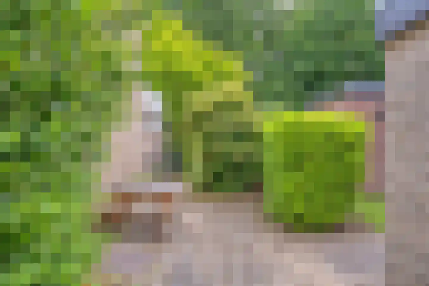 Lage Veld 42 Aalten thumbnail 6