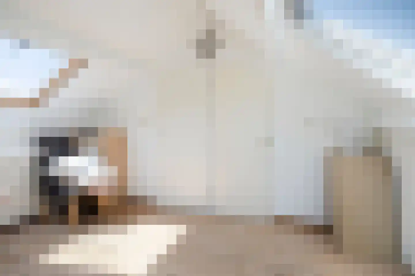 Lage Veld 6 Aalten thumbnail 25