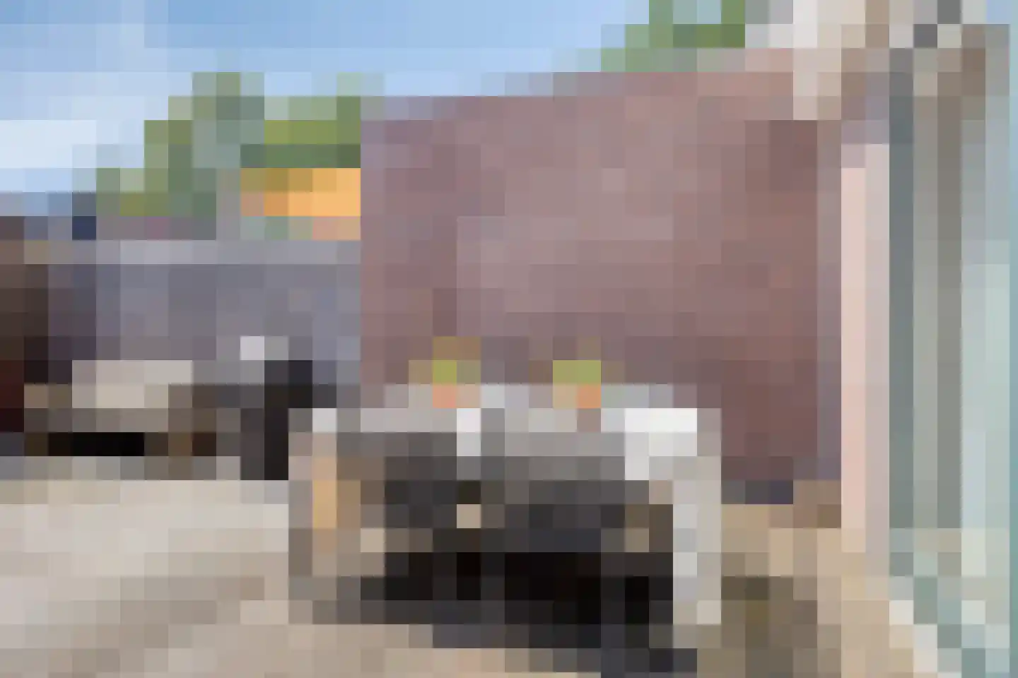 Lage Veld 6 Aalten thumbnail 30