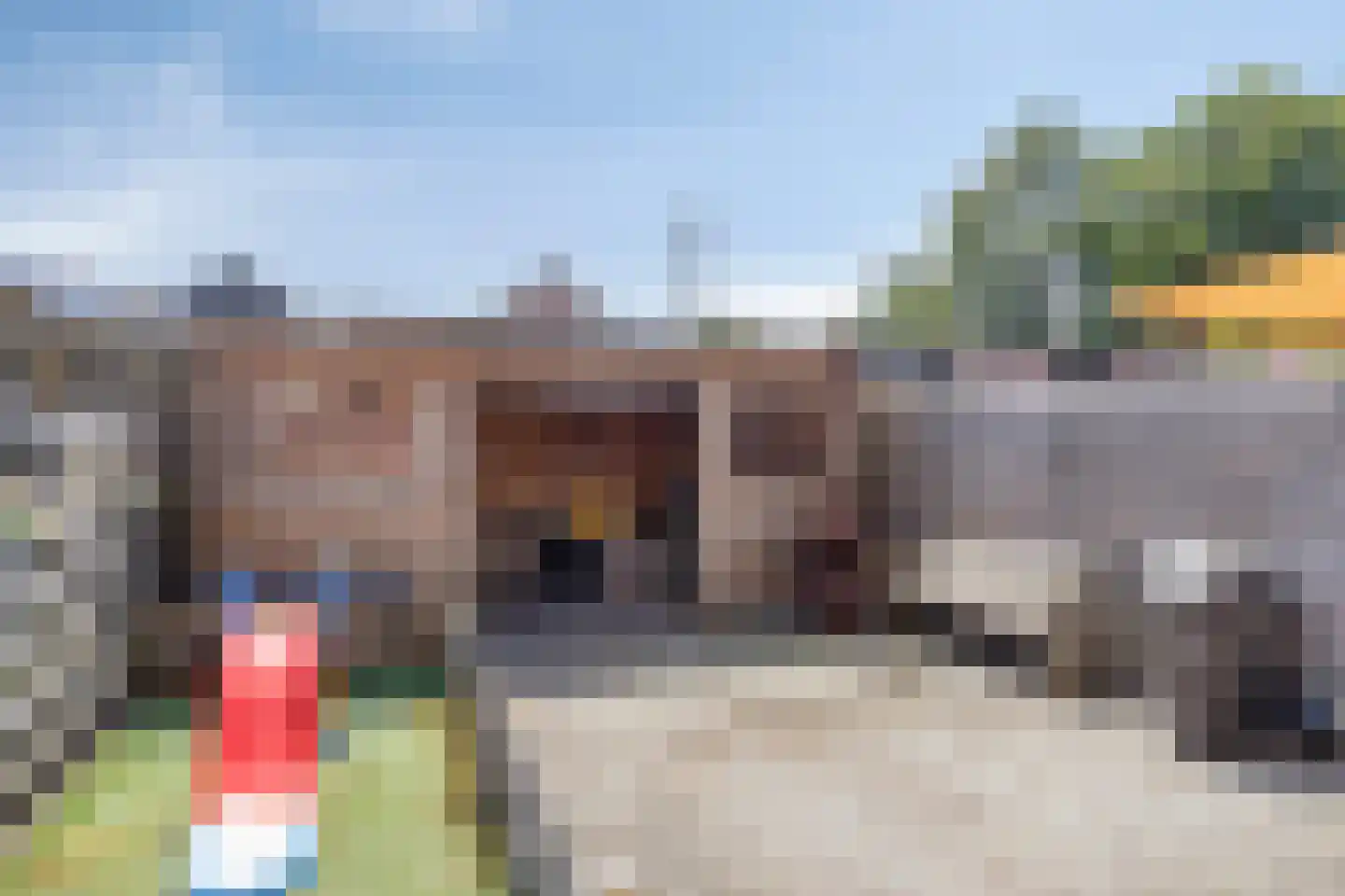 Lage Veld 6 Aalten thumbnail 31