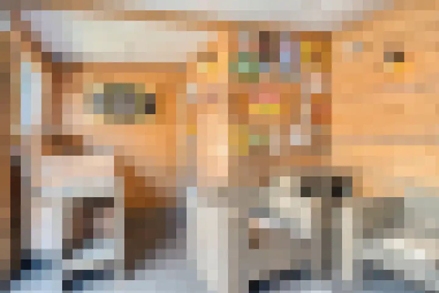 Lage Veld 6 Aalten thumbnail 33