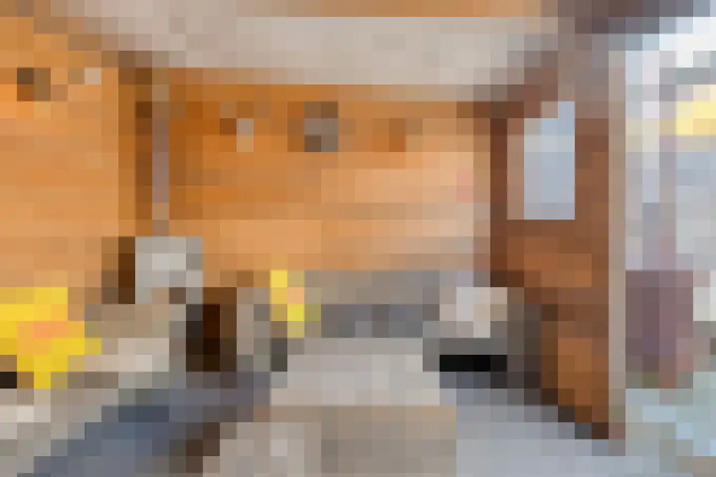 Lage Veld 6 Aalten thumbnail 34