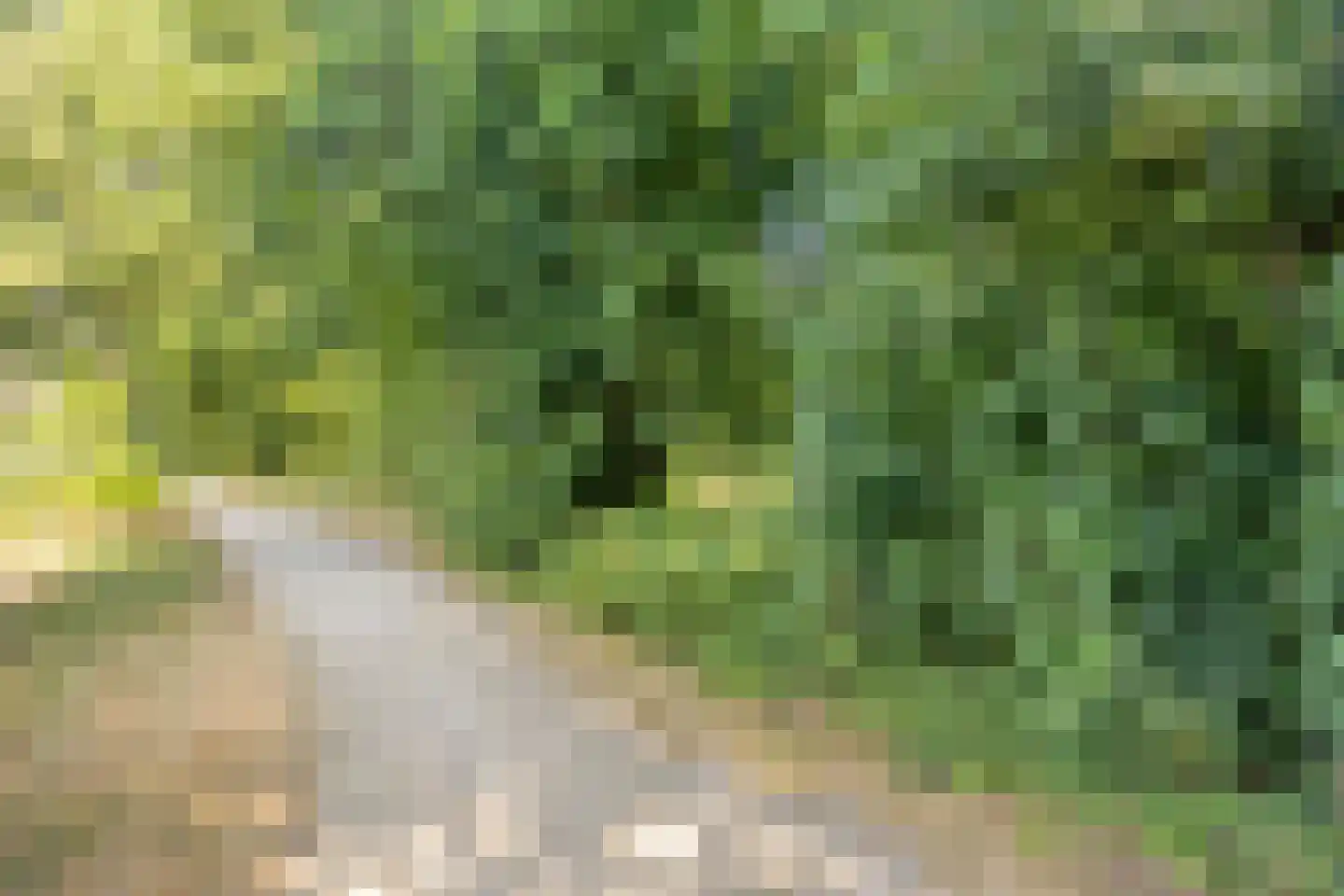 Lage Veld 6 Aalten thumbnail 40