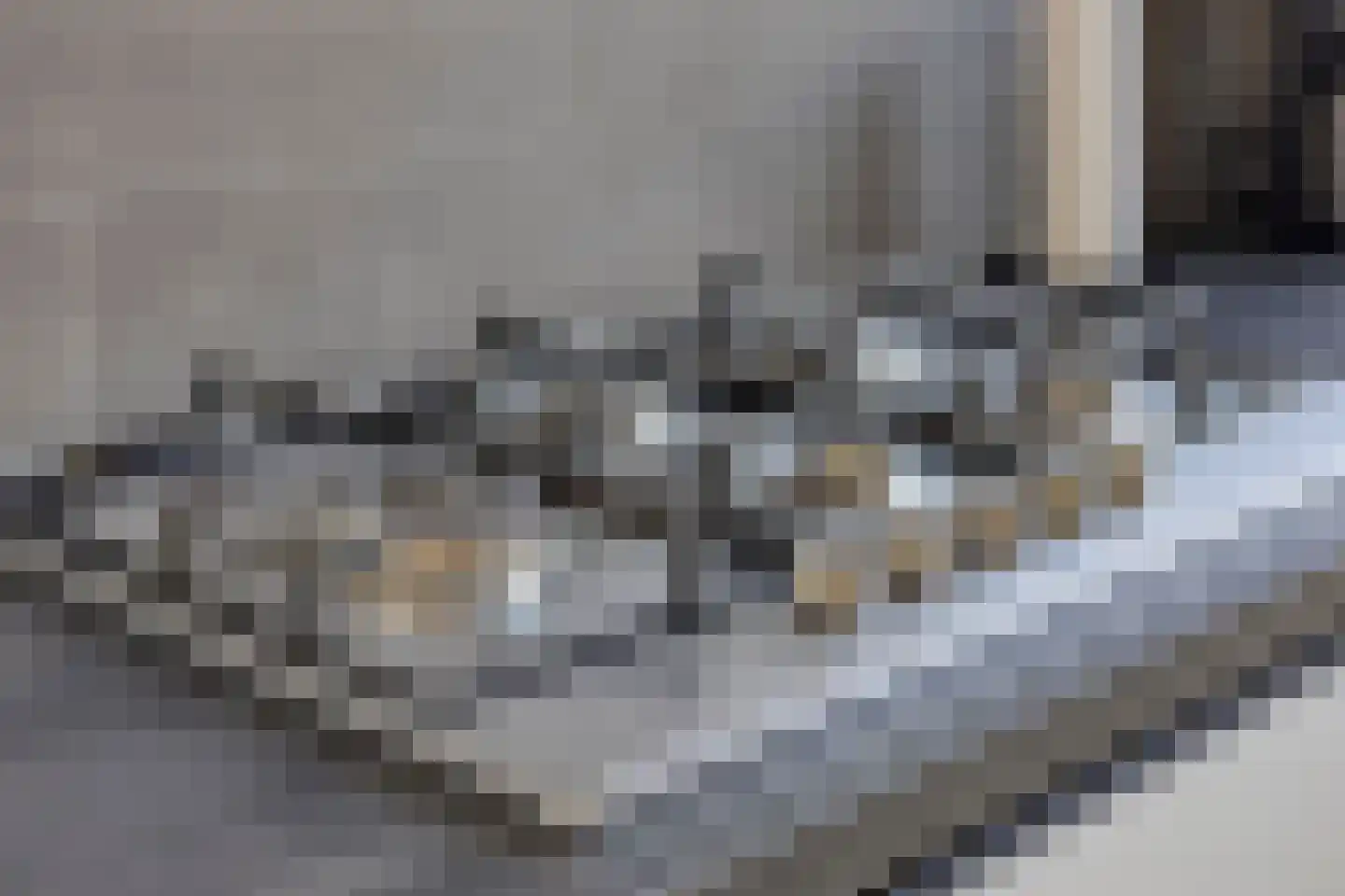 Lage Veld 6 Aalten thumbnail 6