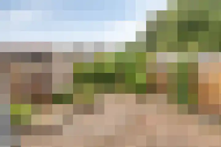 Lage Veld 76 Aalten thumbnail 23