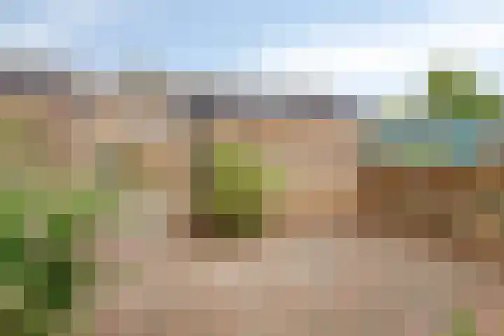 Lage Veld 76 Aalten thumbnail 24