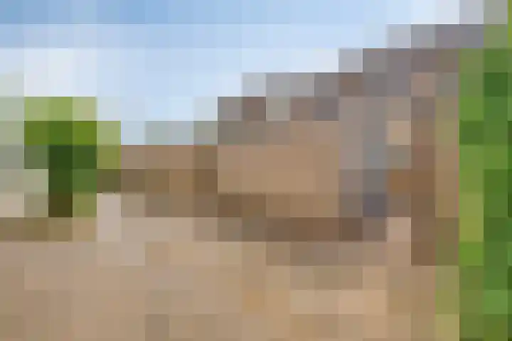 Lage Veld 76 Aalten thumbnail 26