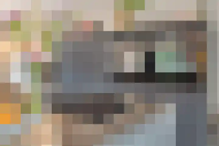 Lage Veld 76 Aalten thumbnail 8