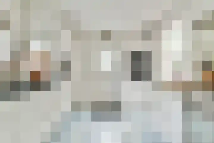 Lage Vuurscheweg 15 Laren thumbnail 15