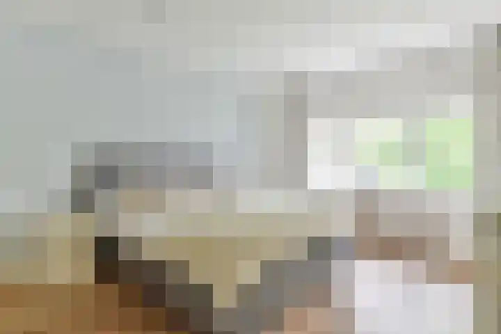 Lage Vuurscheweg 15 Laren thumbnail 17