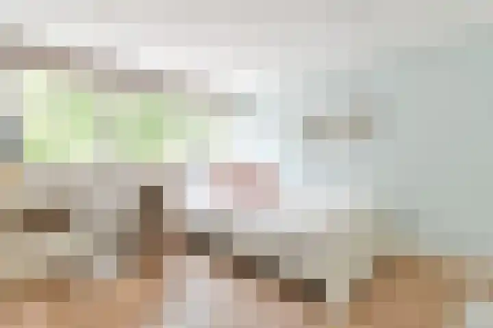 Lage Vuurscheweg 15 Laren thumbnail 20