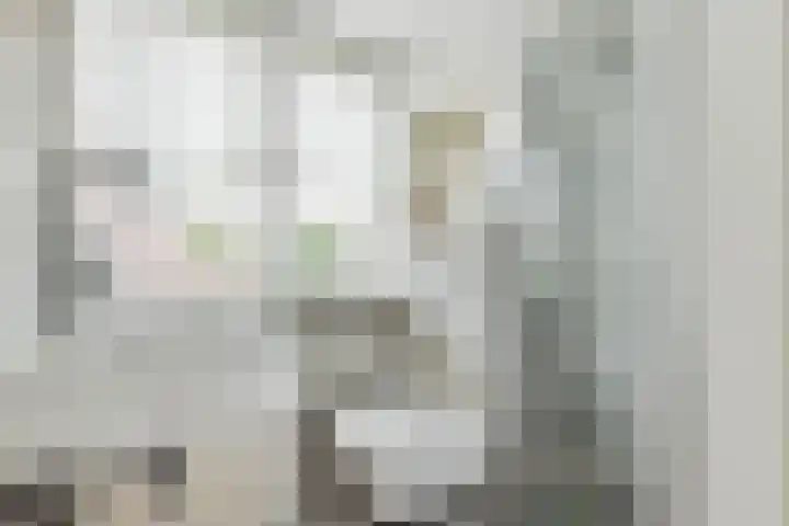 Lage Vuurscheweg 15 Laren thumbnail 25