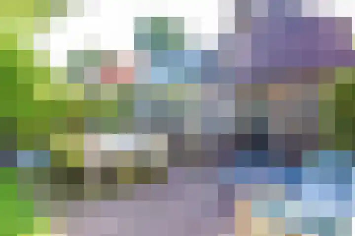 Lage Vuurscheweg 15 Laren thumbnail 29