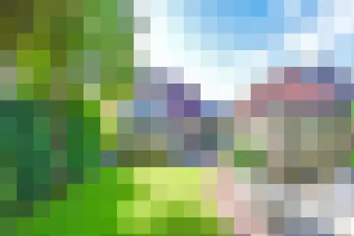 Lage Vuurscheweg 15 Laren thumbnail 34