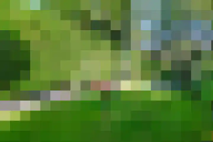 Lage Vuurscheweg 15 Laren thumbnail 38