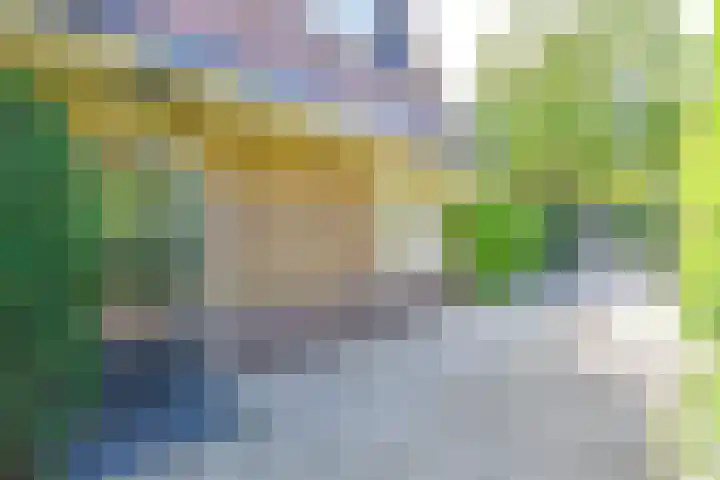 Lage Vuurscheweg 15 Laren thumbnail 40