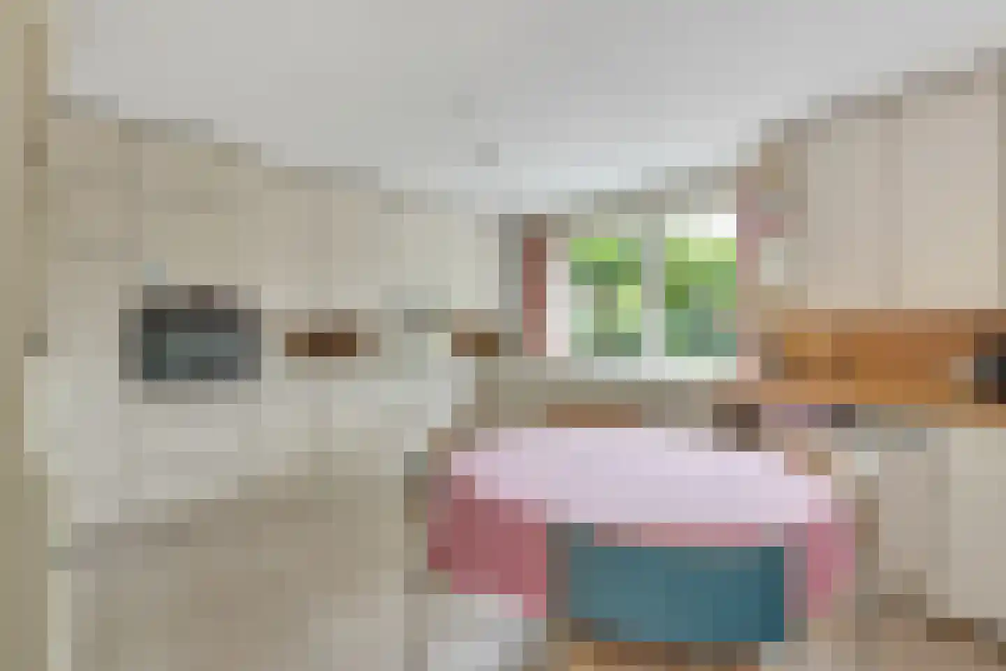 Lage Vuurscheweg 22 Laren thumbnail 17