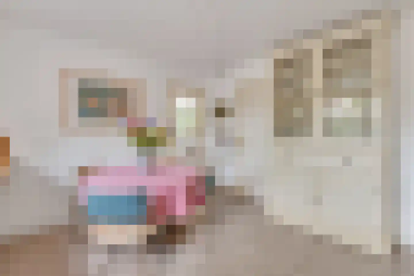 Lage Vuurscheweg 22 Laren thumbnail 19