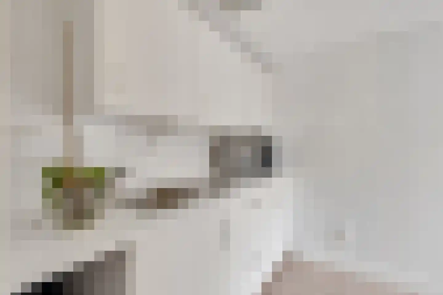 Lage Vuurscheweg 22 Laren thumbnail 21