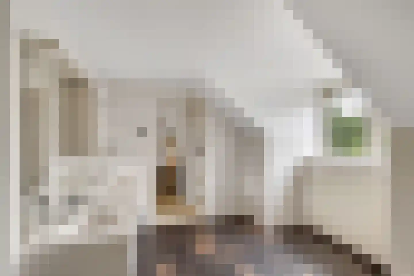 Lage Vuurscheweg 22 Laren thumbnail 30