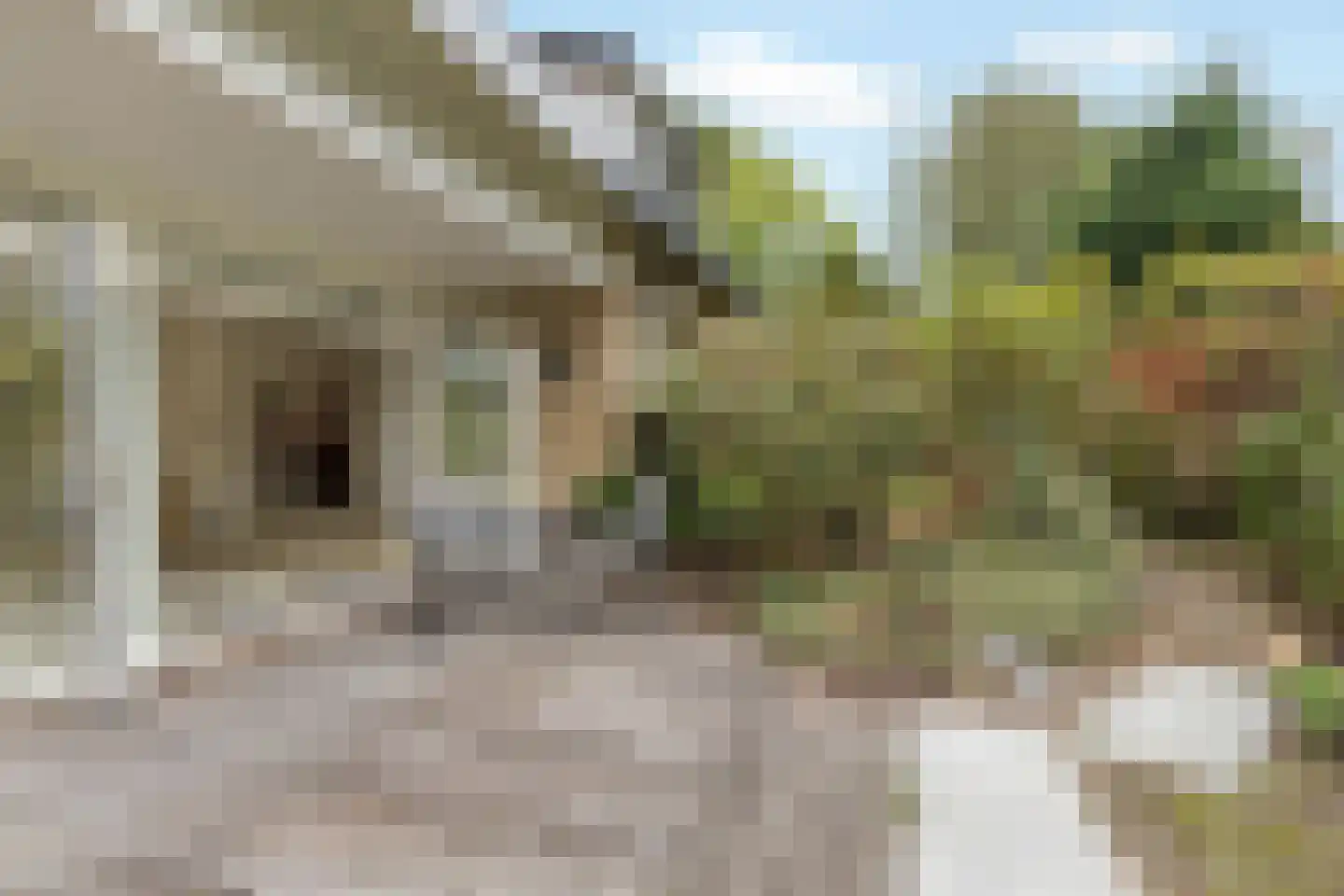 Lage Vuurscheweg 22 Laren thumbnail 5