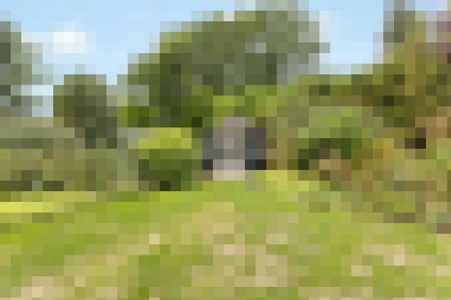 Lage Vuurscheweg 22 Laren thumbnail 7