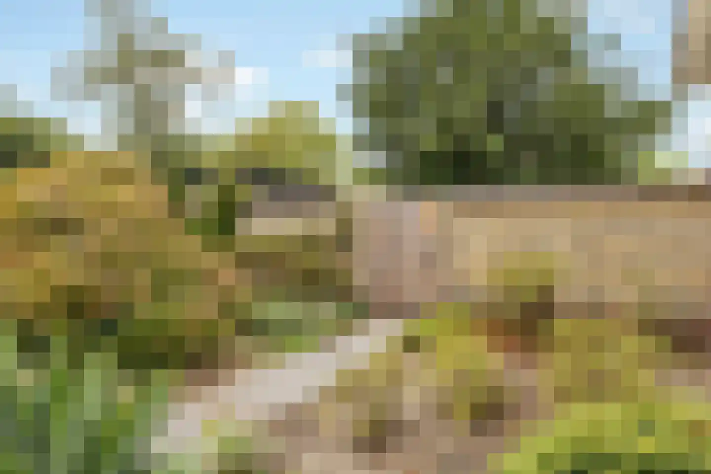 Lage Vuurscheweg 22 Laren thumbnail 8