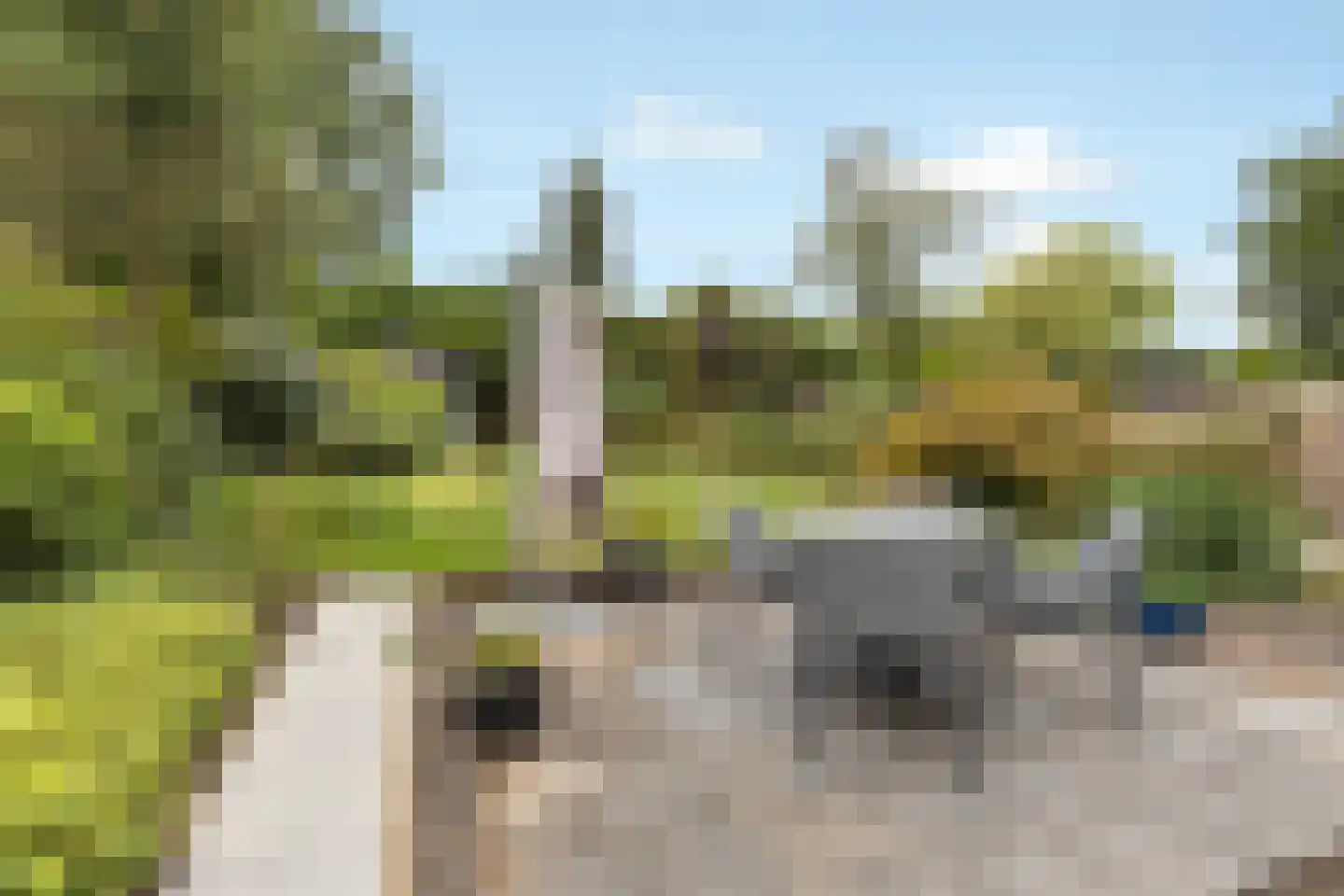 Lage Vuurscheweg 22 Laren thumbnail 9