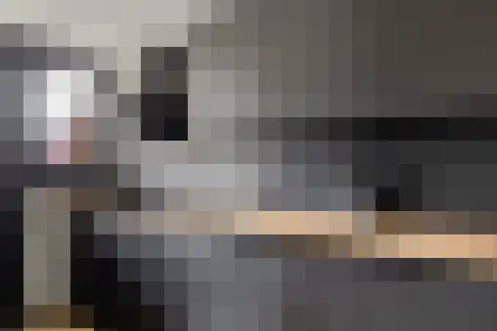 Lage Vuurscheweg 84 A Hilversum thumbnail 12
