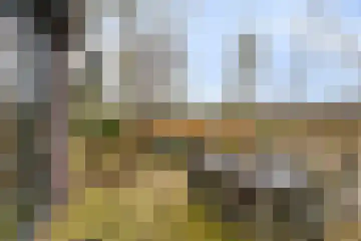 Lage Vuurscheweg 84 A Hilversum thumbnail 24