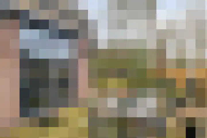 Lage Vuurscheweg 84 A Hilversum thumbnail 25