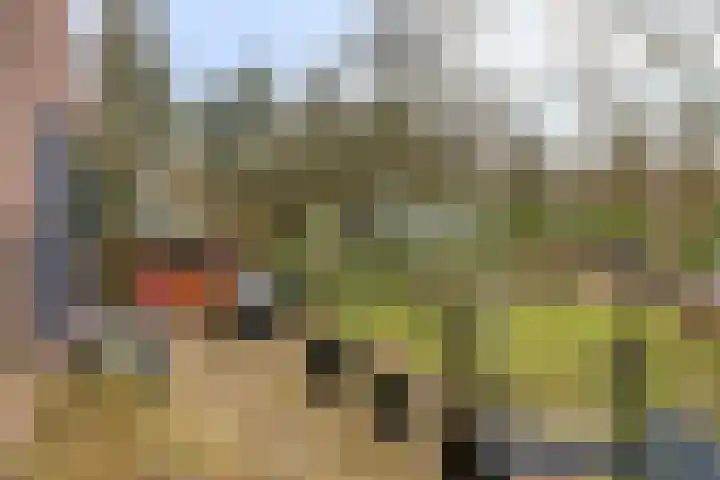 Lage Vuurscheweg 84 A Hilversum thumbnail 27
