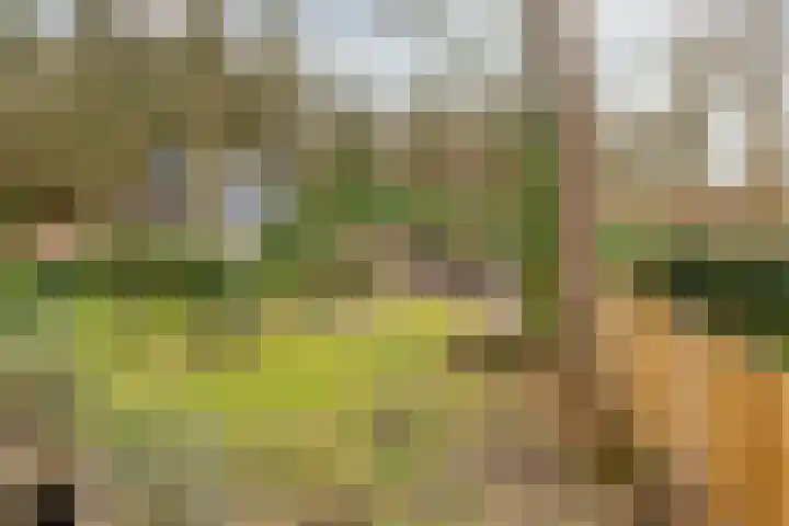 Lage Vuurscheweg 84 A Hilversum thumbnail 28