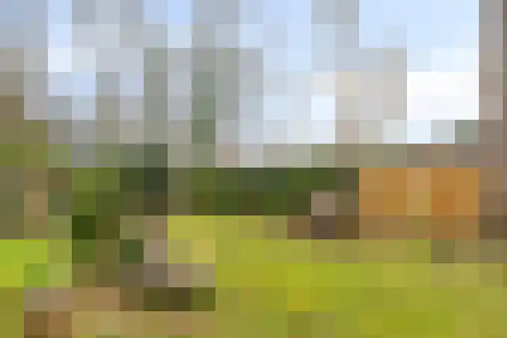 Lage Vuurscheweg 84 A Hilversum thumbnail 29