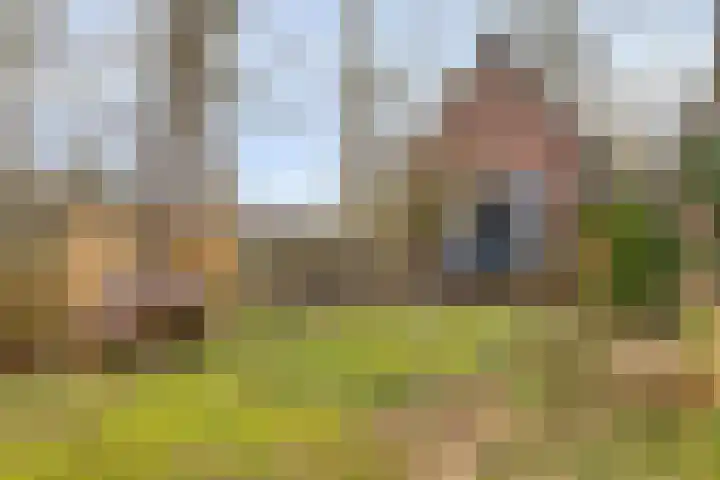 Lage Vuurscheweg 84 A Hilversum thumbnail 30