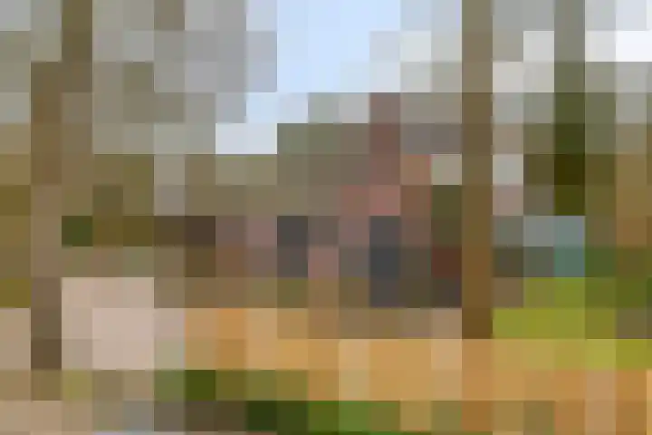 Lage Vuurscheweg 84 A Hilversum thumbnail 34