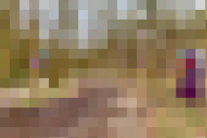 Lage Vuurscheweg 84 A Hilversum thumbnail 35