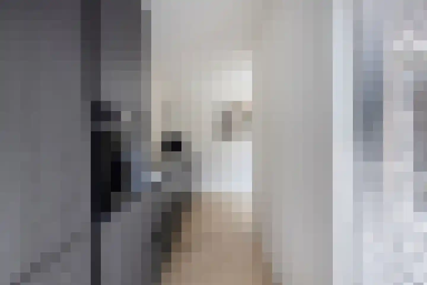 Lage Wal 3 a Blokzijl thumbnail 11
