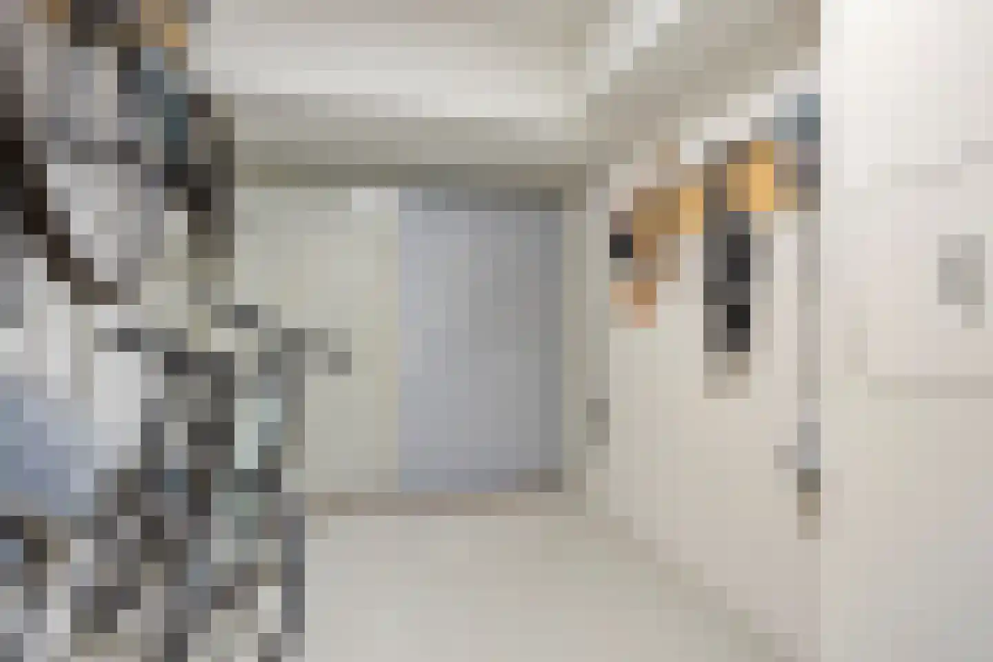 Lage Wal 3 a Blokzijl thumbnail 15