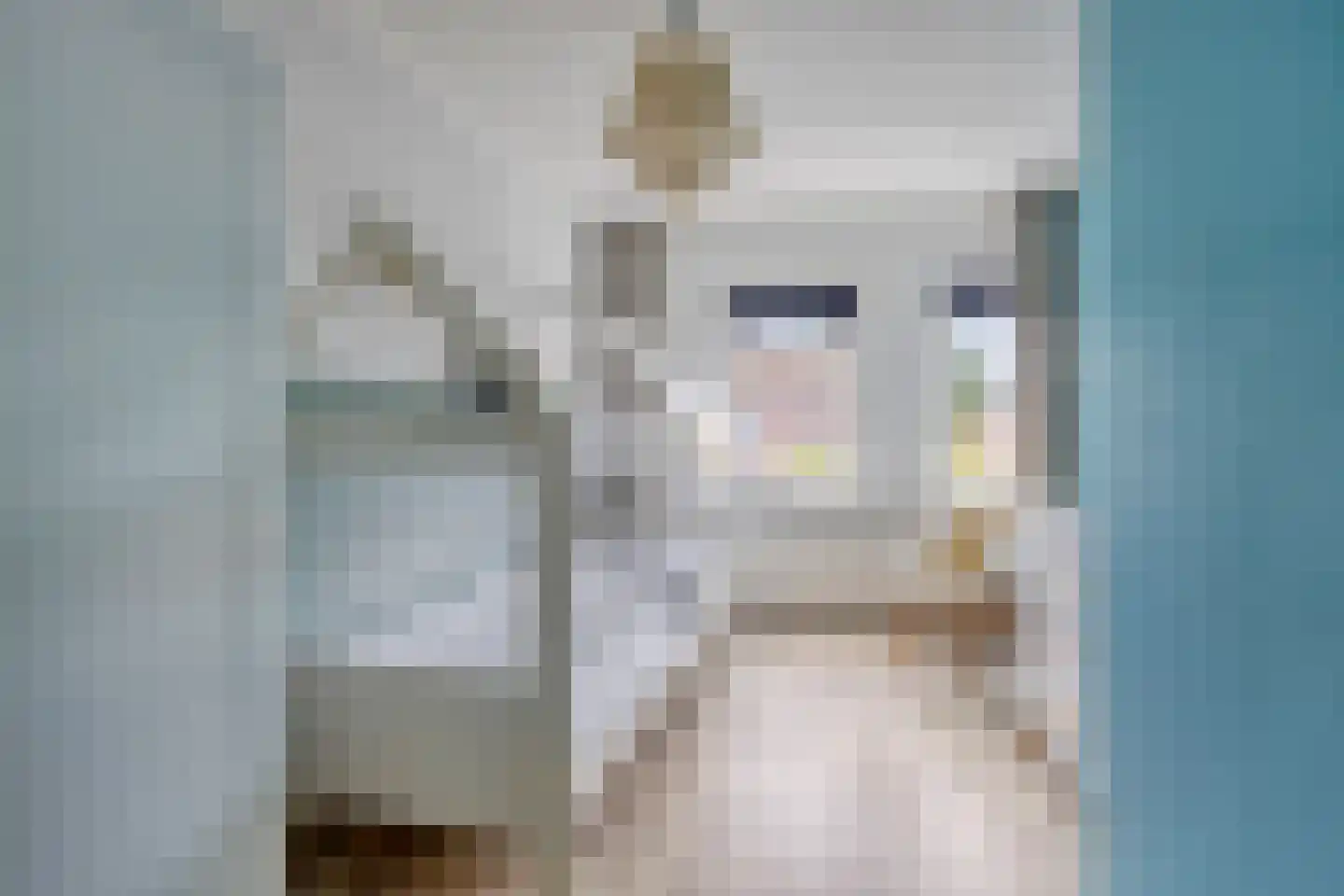 Lage Wal 3 a Blokzijl thumbnail 19