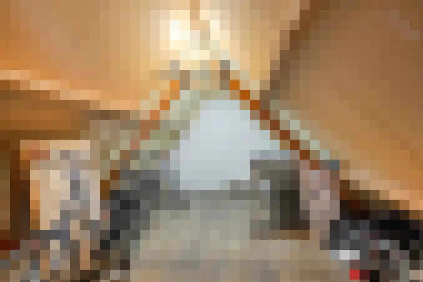 Lage Wal 3 a Blokzijl thumbnail 20