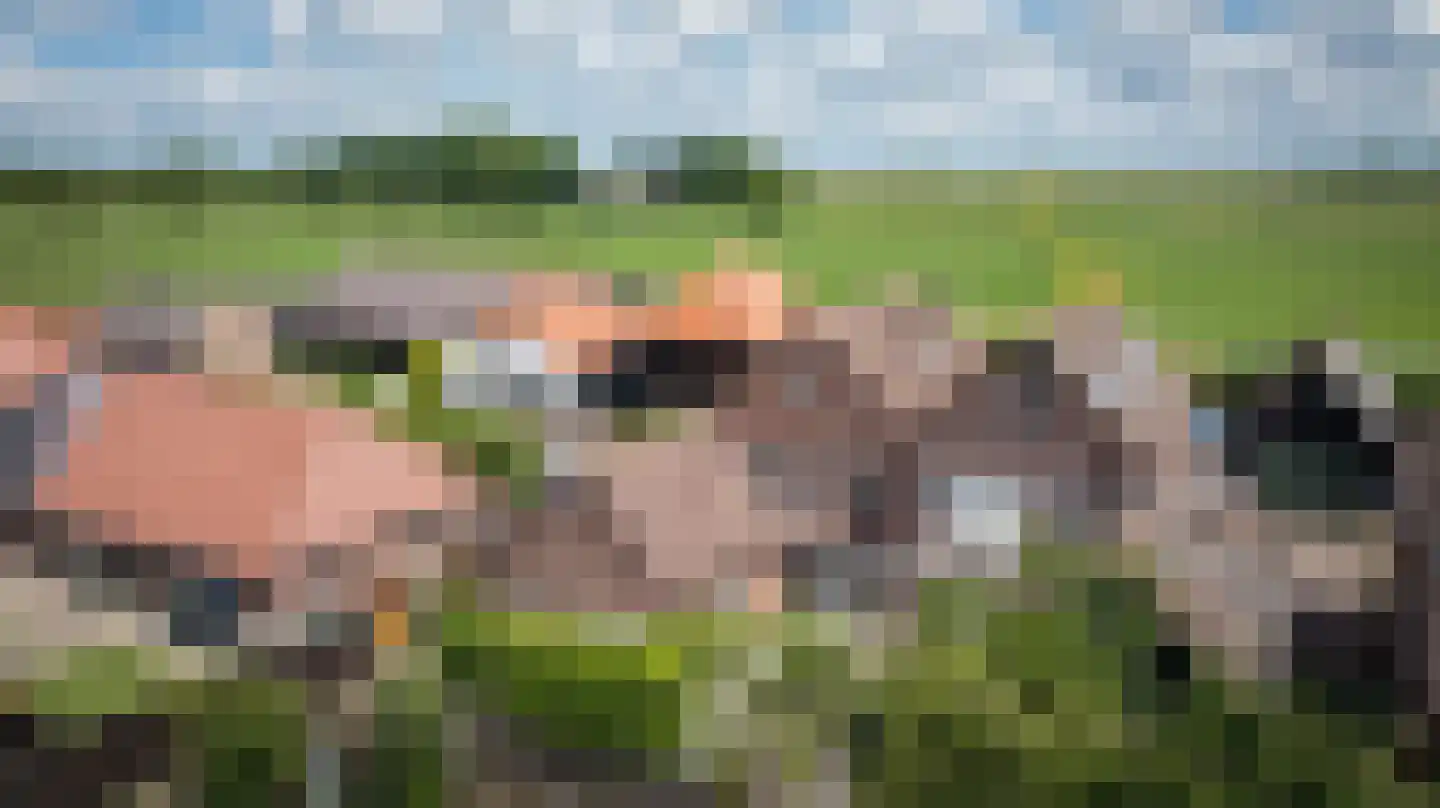 Lage Wal 3 a Blokzijl thumbnail 43