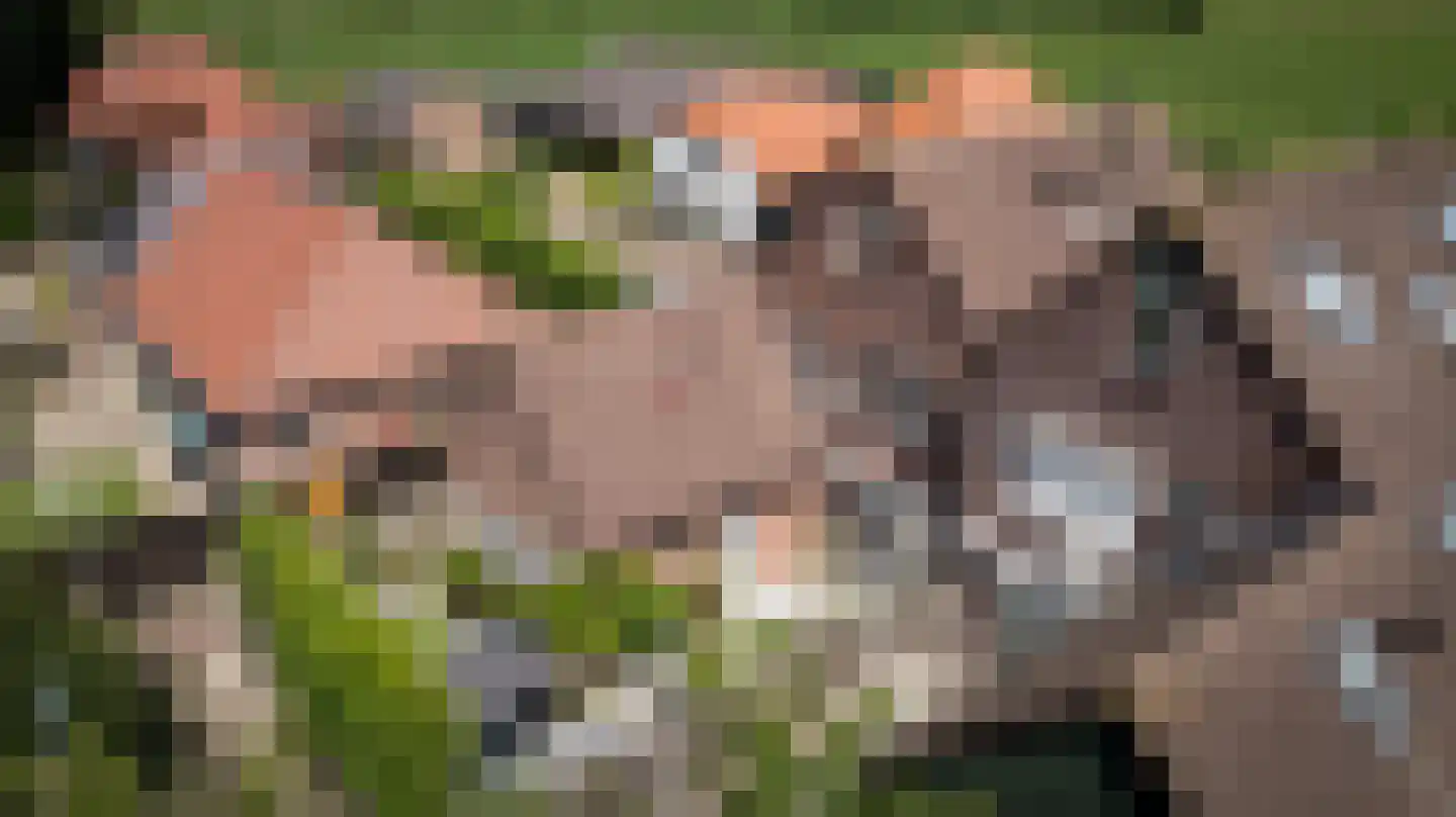 Lage Wal 3 a Blokzijl thumbnail 44