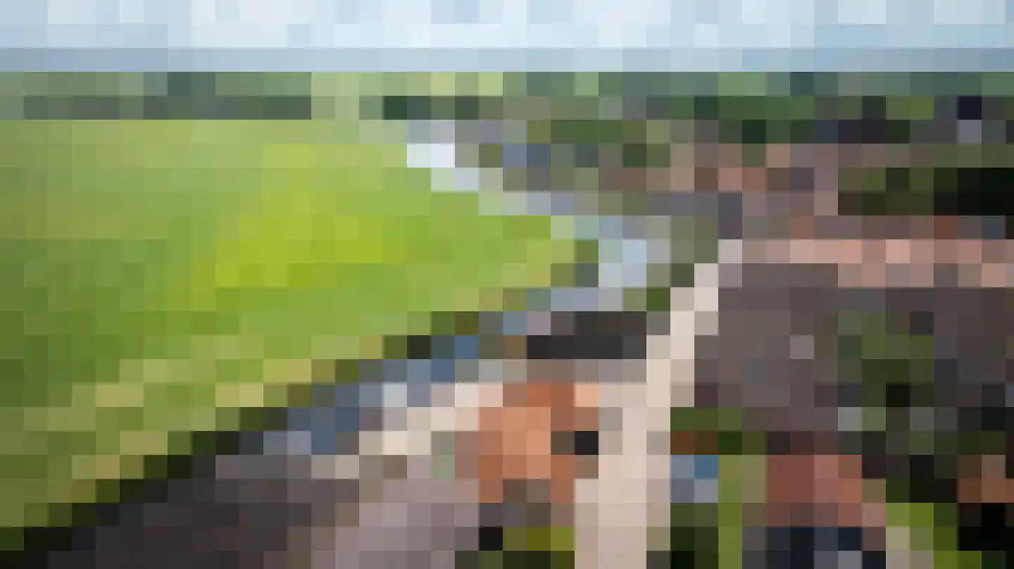 Lage Wal 3 a Blokzijl thumbnail 48
