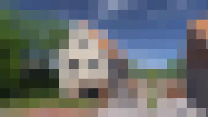 Lage Weide 12 Oldebroek thumbnail 4