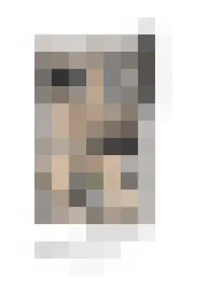 Lage Weide 12 Oldebroek thumbnail 8