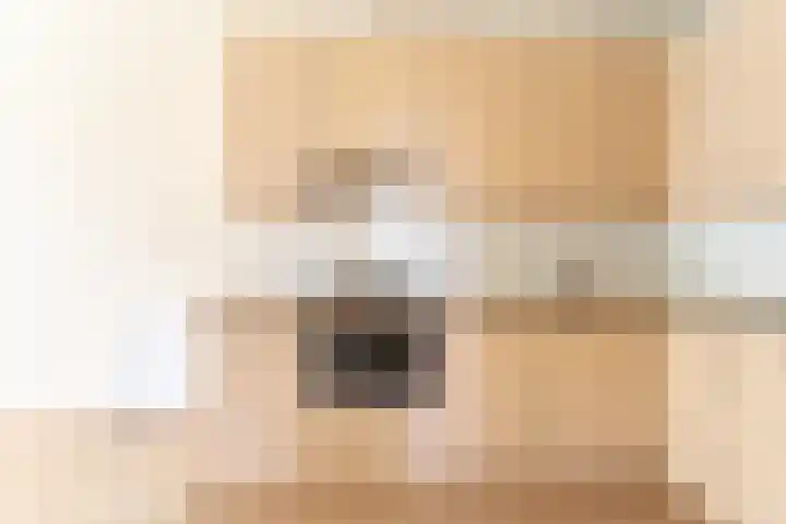 Lage Weide 22 Limmen thumbnail 13